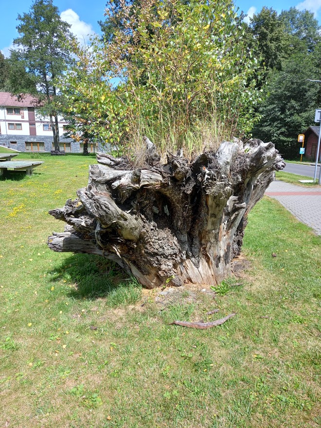 IMG-20220922-WA0008