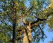 11-img-20251021-112214